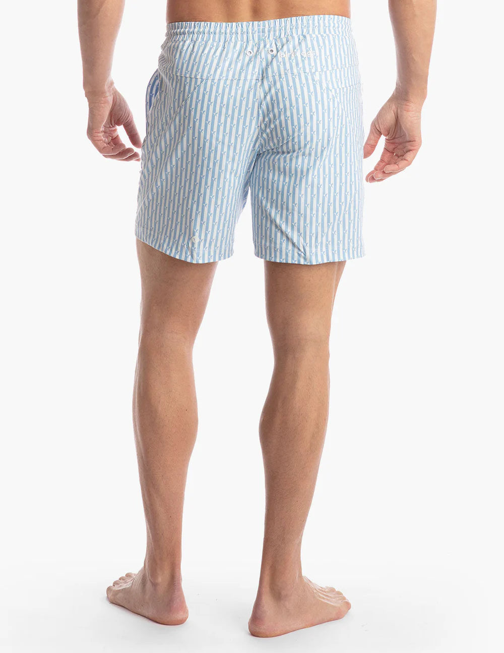 Birddogs Bathing Suit - Blue & White Stripes