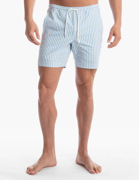 Birddogs Bathing Suit - Blue & White Stripes